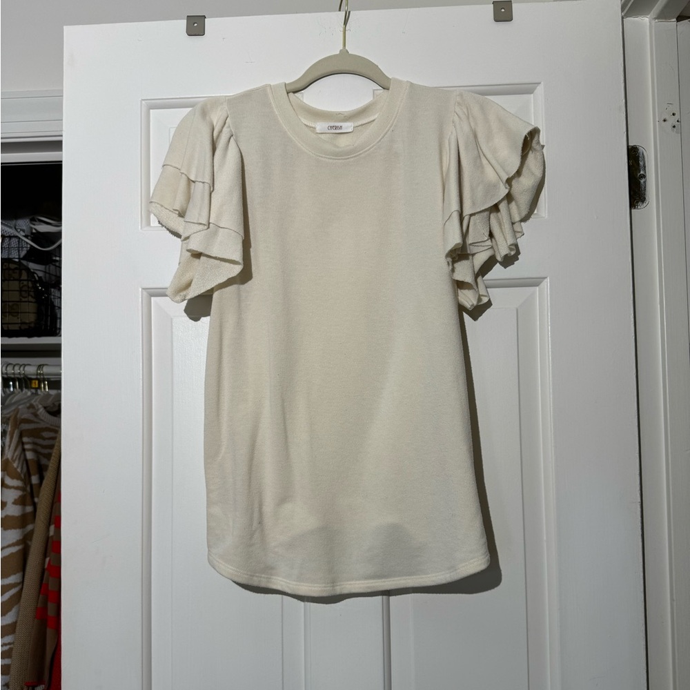 Ruffled Sleeve Blouse